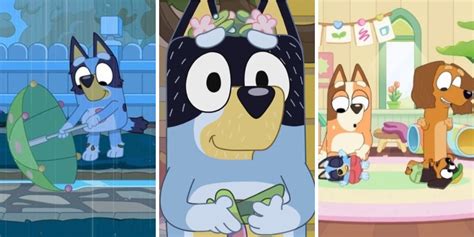 10 Best Bluey Episodes For Parents