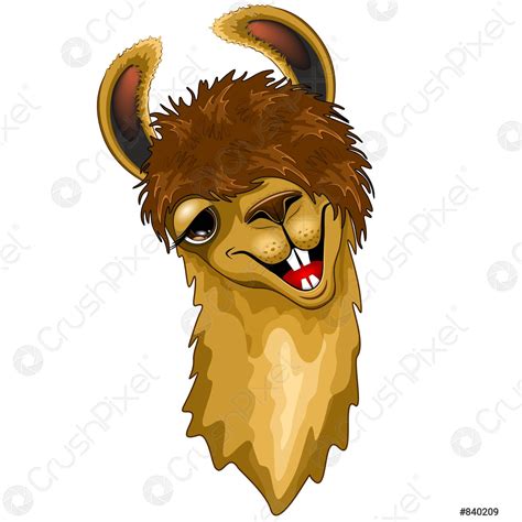 Llama Funny Happy Face Vector Illustration - stock vector 840209 ...