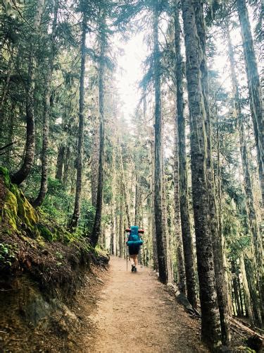 Garibaldi Lake Trail Photo | Hiking Photo Contest | Vancouver Trails