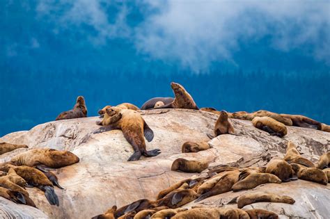 4 Ways Onto The Water In Glacier Bay National Park | HuffPost