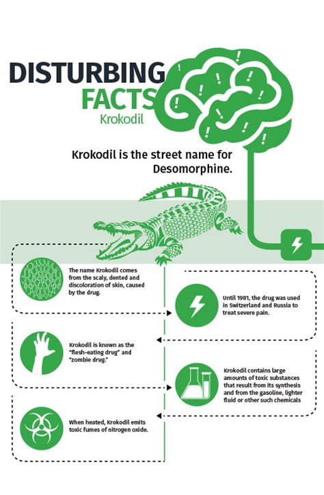 Krokodil Addiction and Rehabilitation - Detox To Rehab