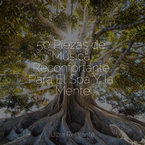 Atrayendo Sonidos De Serenidad_Música para Dormir Con Relajantes Sonidos de la Naturaleza、Masaje ...