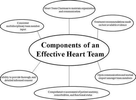 Practical Implementation of the Coronary Revascularization Heart Team ...