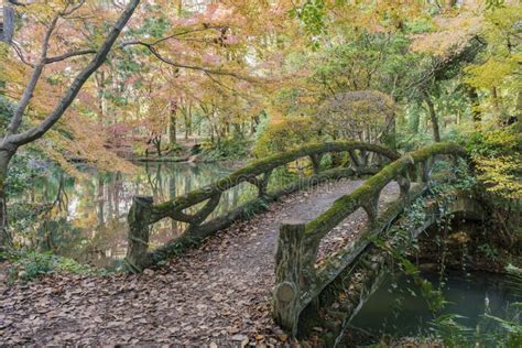 Beautiful Fall Color of Kyoto Botanical Garden Stock Photo - Image of ...