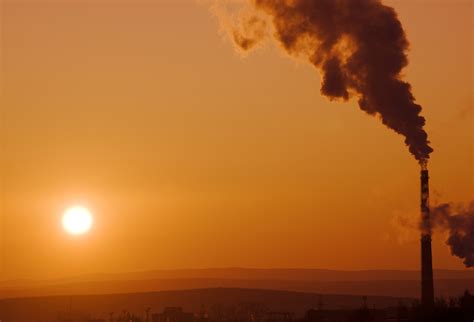 Atmospheric CO2 levels defy the pandemic to hit record high