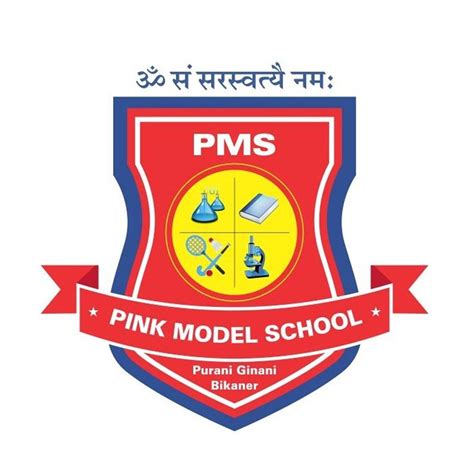 Pink Model School | Bikaner