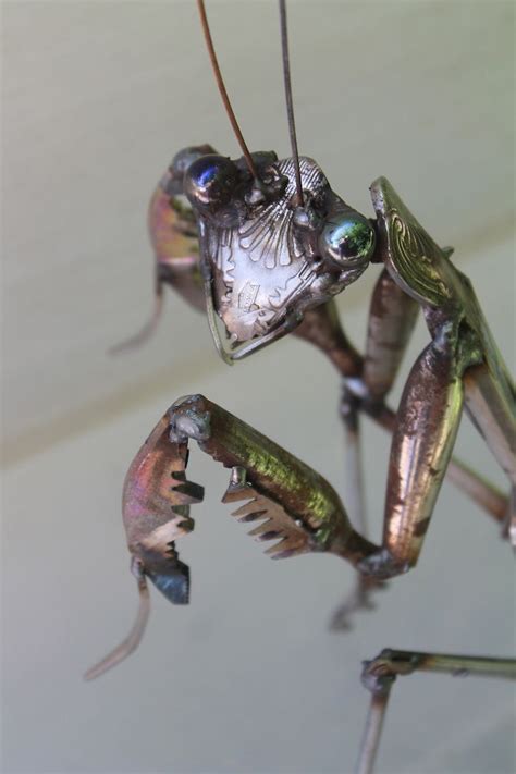 This Artist Turns Scrap Metal Into Incredible Animal Sculptures