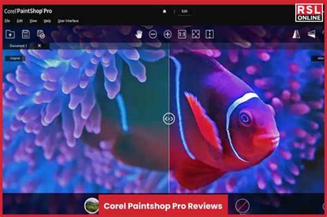 Corel Paintshop Pro - Best Review By Users In 2022 | RSLOnline