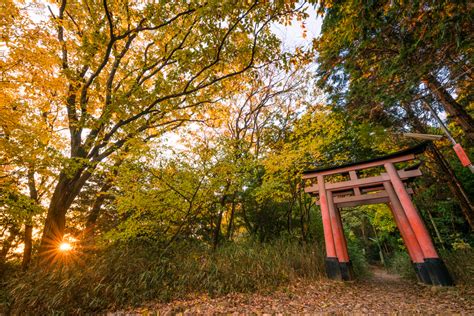 Japan Fall Colors & Autumn Foliage Guide - Travel Caffeine