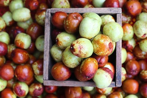 JuJube Fruit | How to Eat (and enjoy) them! « GrubMarket Blog