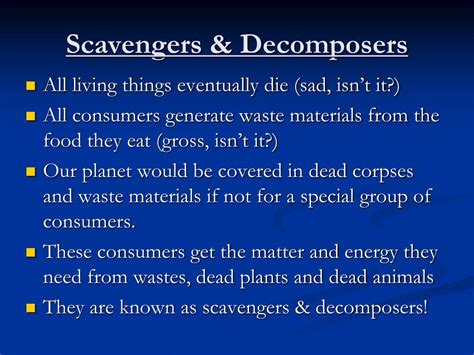 PPT - Food Chains, Scavengers & Decomposers PowerPoint Presentation - ID:1442645