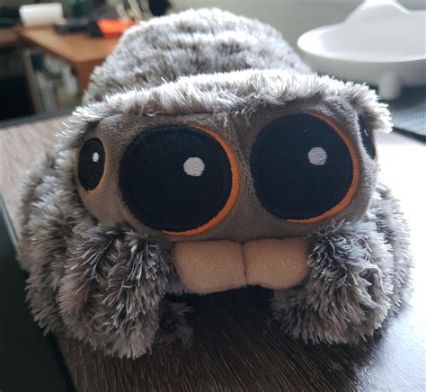 My Lucas the Spider plushie came.https://ift.tt/2SHpCRZ | Lucas the spider, Cute animals, Plushies