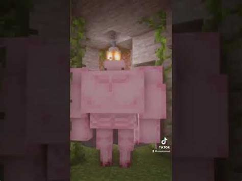 Minecraft Buff Axolotl - YouTube