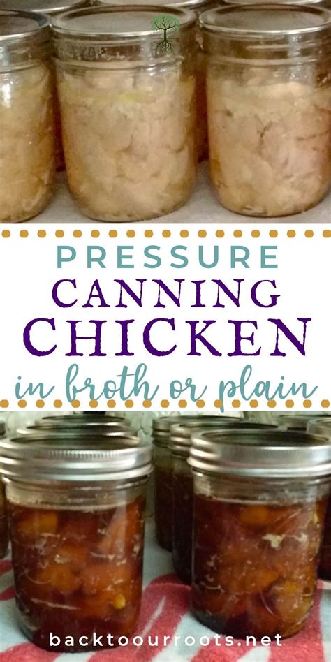 How to Pressure Can Chicken at Home Easily and Safely | Canning recipes ...