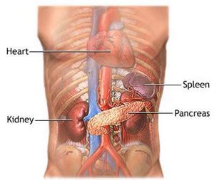 Spleen Pain - Location, Causes and Treatment