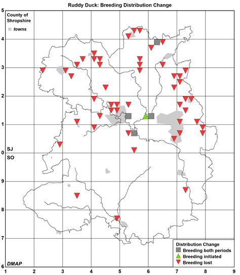 Ruddy Duck_ Breeding Distribution Change | Shropshire Ornithological ...