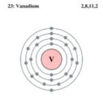 Vanadium - CreationWiki, the encyclopedia of creation science