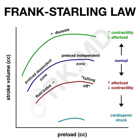 Frank-Starling Law | RK.MD