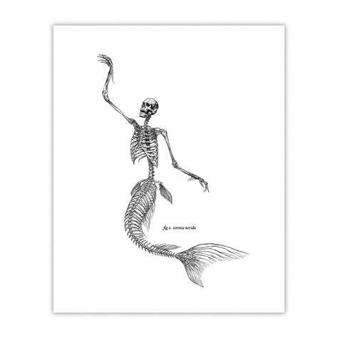 Mermaid Skeleton 2 Print - Niche Snowboards