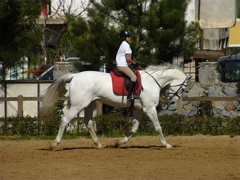 File:Girl riding horse 1030600 nevit.jpg