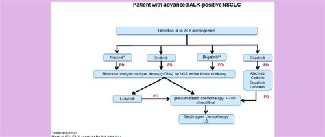 Proposed therapeutic algorithm in ALK-positive NSCLC. ALK, anaplastic... | Download Scientific ...