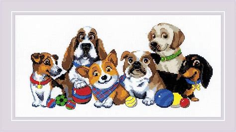 dog shows - Clip Art Library