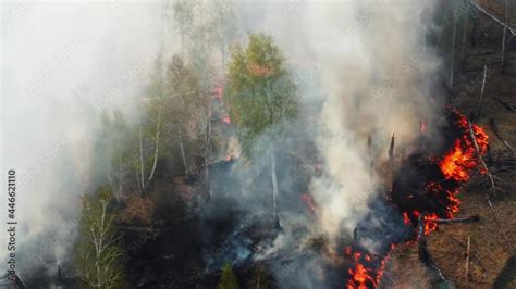 Air pollution caused by forest fire. Clouds of smoke above aerial footage. top view of a fire ...