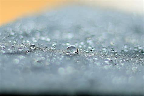 Macro Photography of Water Droplets · Free Stock Photo