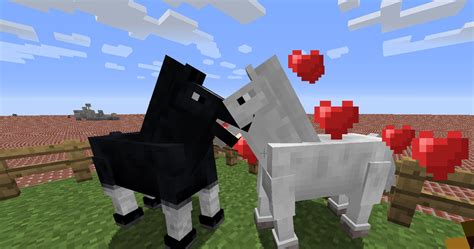 How To Breed Horses In Minecraft: A Step-By-Step Guide