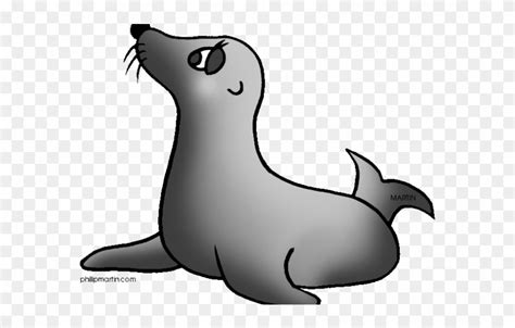 cartoon seal clip art 20 free Cliparts | Download images on Clipground 2024