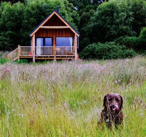 Dog friendly accommodation in Scotland - Love, from Scotland