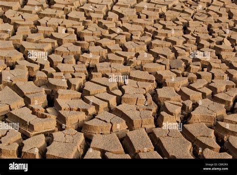 Large Cracks of Clayey Soil Stock Photo, Royalty Free Image: 41689086 ...