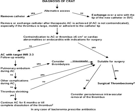 Hemodialysis Catheter Complications (And What To Do About Them) - Renal ...