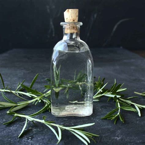 2 ways to make Rosemary water for hair growth - SimplyBeyondHerbs