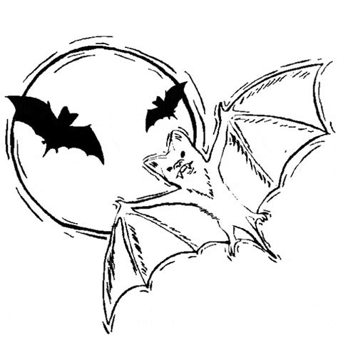 Vampire Bat coloring page - Animals Town - animals color sheet ...