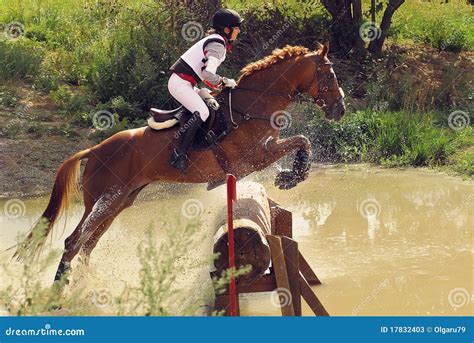 Woman horseback jumping editorial stock photo. Image of elegance - 17832403