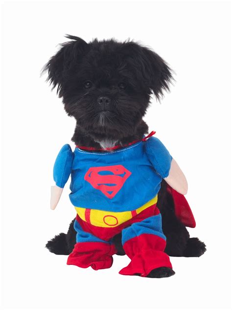 Funny dog costumes are our thing here at Barket. We spend our days ...