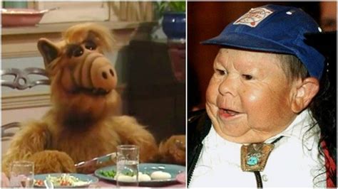 Michu Meszaros, the Actor Who Played ‘Alf’ in the Popular Sitcom, Dies at Age 76 | wnep.com