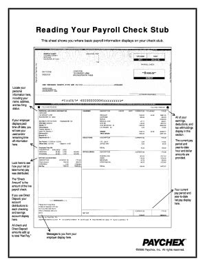 Pay Stub Template Word Document Collection