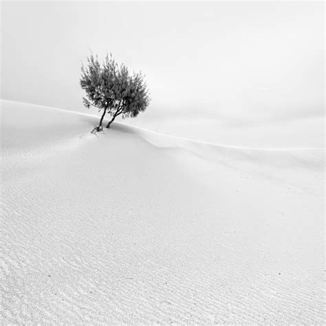 Surreal sights in the Black and White Minimalist Photography Awards