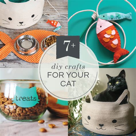 7+ DIY Cat Projects - Lia Griffith