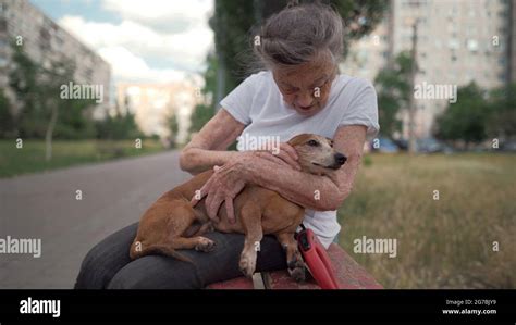 Animal theme is a lonely old woman best friend. Caucasian 90 years old senior female is happy to ...