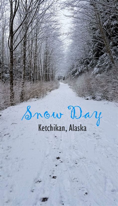 Ketchikan, Alaska in the Snow | Sea kayaking, Ketchikan, Alaska