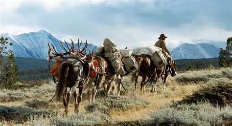 Montana Elk Hunting - Wilderness Horseback Hunts near Yellowstone Park