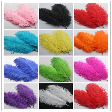 Wholesale! 100pcs/lot Natural Ostrich Feather 15 20 cm Colorful Feather ...