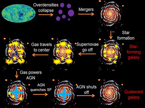 Galaxy Evolution | Charles L. Steinhardt