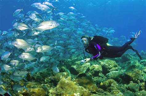 inilah 5 Wisata Bawah Laut Indonesia Terpopuler yang harus Anda kunjungi.