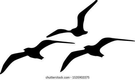 SEAGULL SILHOUETTE.ai Royalty Free Stock SVG Vector and Clip Art