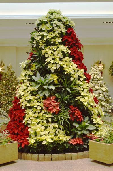 Hershey Gardens Celebrates with the Holidays with Christmas Trees, Kids ...