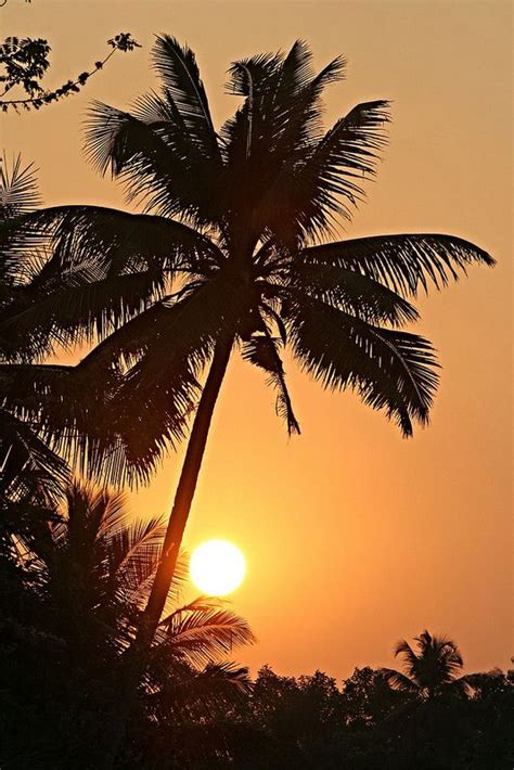 Kerala Sunset | Sunset, Sunrise, Sun